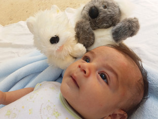 two months old baby boy with koala and puppy toy