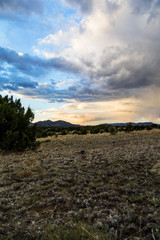 golden hour light in the desert mountains 