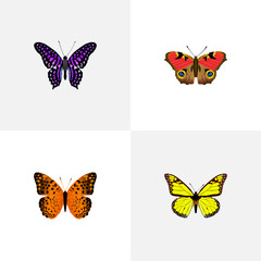 Fototapeta na wymiar Realistic Danaus Plexippus, American Painted Lady, Archippus And Other Vector Elements. Set Of Butterfly Realistic Symbols Also Includes Butterfly, Monarch, Violet Objects.