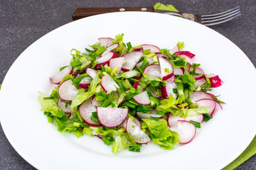Vegetarian salad with fresh radish, arugula, spinach