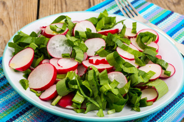 Vegetarian salad with fresh radish and spinach