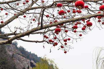 traditional chinese red lanterns of tree