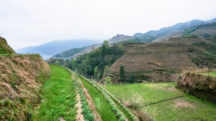 Fototapeta na wymiar terraced fields of Tiantouzhai village