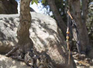 Native American art decoration in tree