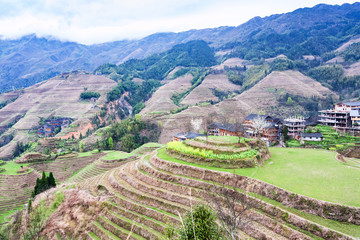 Fototapeta na wymiar view of terraced gardens in Dazhai country