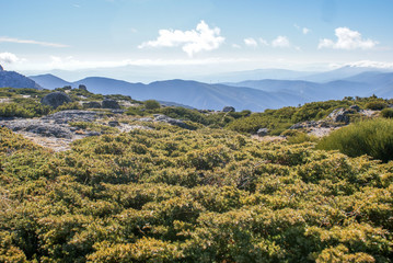 Obraz premium Serra da Estrela, Portugal