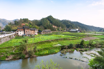Fototapeta na wymiar gardens, rice paddy, tea plantation in Chengyang