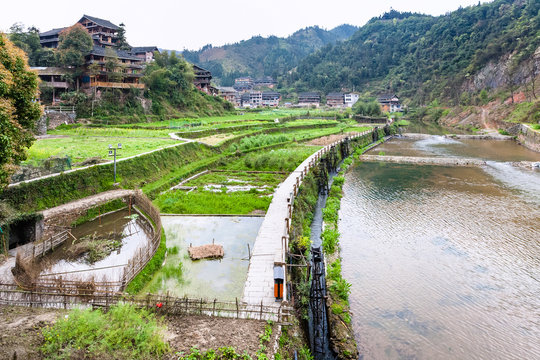 irrigation canal and rice paddies in Chengyang