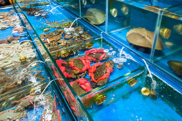crabs and crayfishes in fish market in Guangzhou