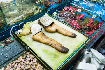 geoduck clams in fish market in Guangzhou city