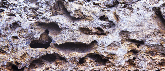 Old brick wall architectural background texture