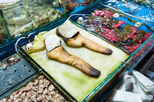geoduck clams in fish market in Guangzhou city