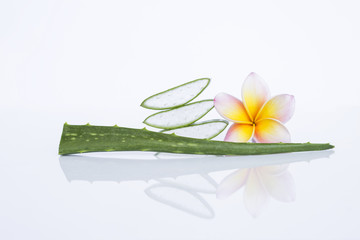 Fresh Aloe Vera with flower isolate on white background, healthy life style