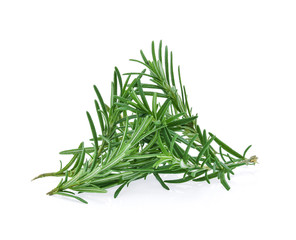 rosemary isolated on white background