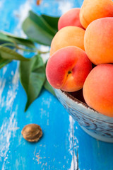 Colorful fresh ripe organic whole apricots in ceramic bowl on blue wood garden table, kernel, green leaves, close up