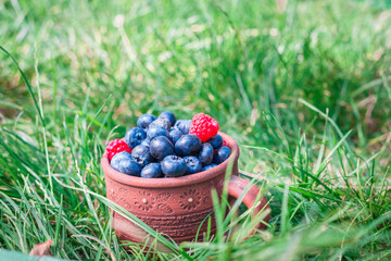 Fototapeta na wymiar Ceramic mug with fresh berries on the grass. Blueberries and raspberries.