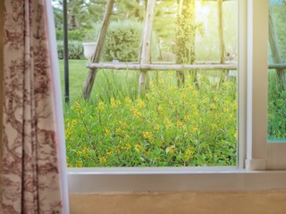 Beautiful nature scene of blooming flower in garden and sunlight. View from window.