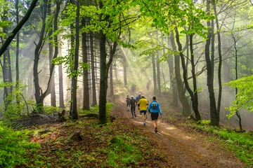 Abwaschbare Fototapete Joggen Trailrunning durch einen Wald bei herrlichem Sonnenschein