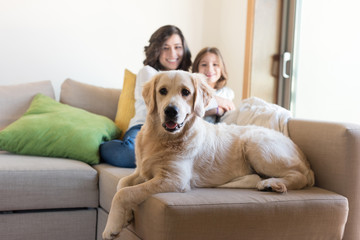 Dog with human family at home