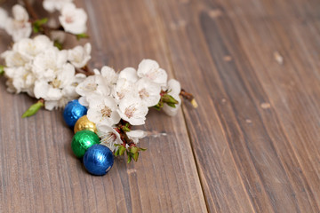 flower apricots on wooden background spring