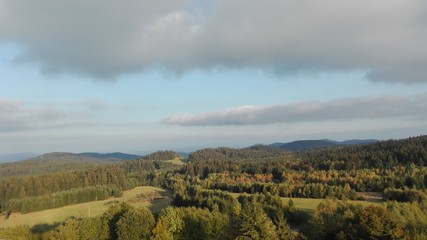 Naklejka premium Wild