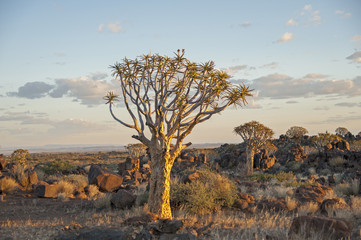 Naklejka premium Namibia