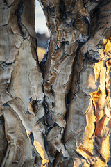 Namibia