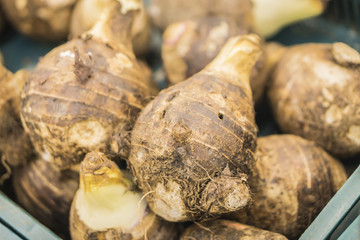  background of pile of fresh organic taro for retail sale in local morning market departmental storeมpile of taro for retail sale in local marketมtaro root pile in the market,selective focus.