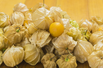 Fresh organic physalis fruit ,Helathy fresh Gooseberry Cape ,Uchuva delicious tropical fruit in Peru, Cape gooseberry (Physalis peruviana) plant on wooden background.