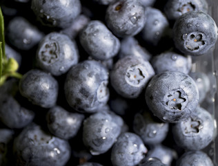 
Fresh blue bilberries