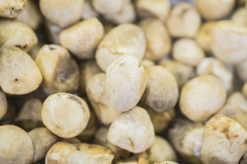  Volvariella volvacea, Straw Mushroom, asian mushrooms,in market,selective focus.