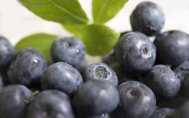 Fresh blue blueberries