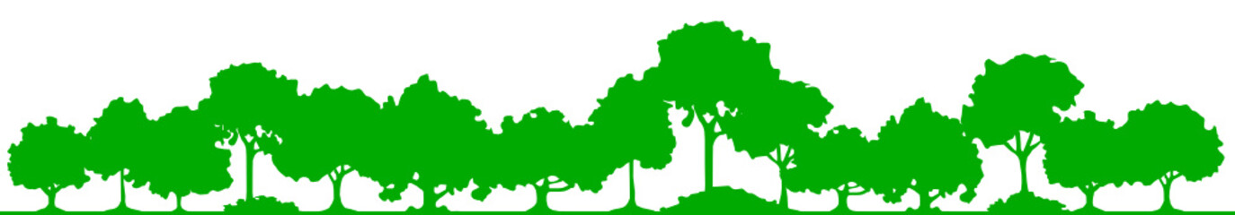 Silhouette Laubwald
