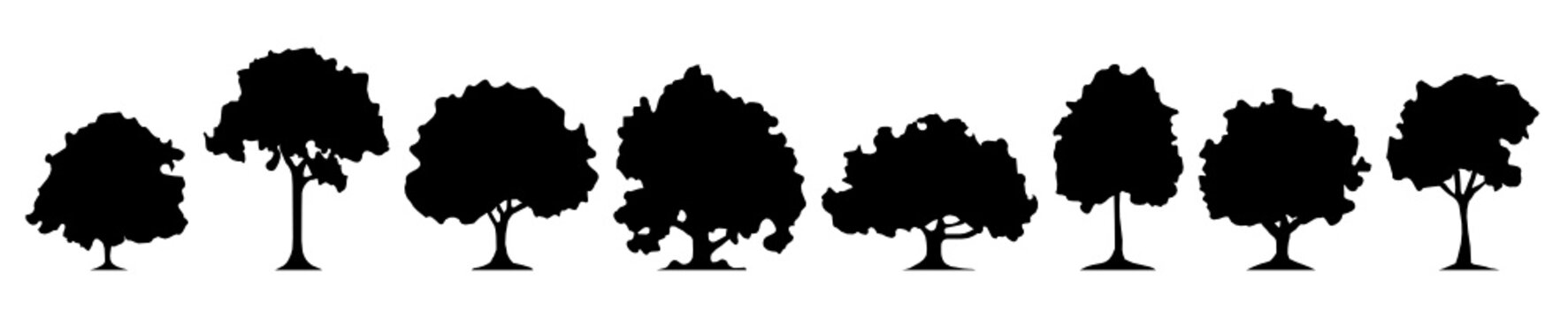 Silhouette Laubwald