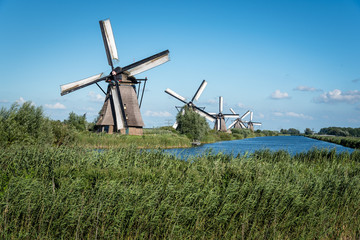 Naklejka premium Beautiful dutch windmill landscape at Kinderdijk in the Netherlands