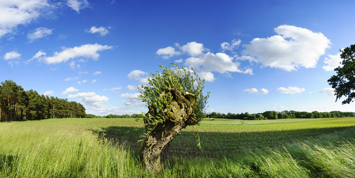 Fr&uuml;hsommer in Mecklenburg-Vorpommern: Alte und neue Landschaften