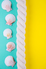 Fototapeta premium Sea rope and scallop shells on colored backgrounds with negative space