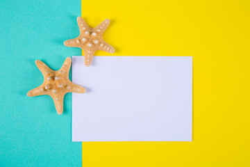 Fototapeta na wymiar Empty paper sheet with two starfishes on colored backgrounds with negative space