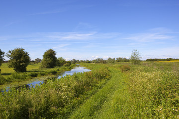 Obraz premium scenic summer canal