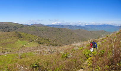 Fototapeta premium boy backpacking in the mountains of North Carolina