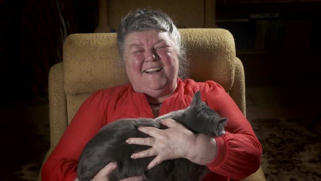 Elderly woman sitting in an armchair stroking her cat. Cat doesn't like being stroked. Grandma laughs trying to hold the pet on her hands and stroke him.