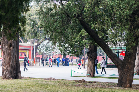 visitors in public park in Beijing in spring