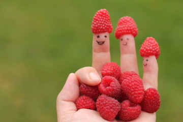 Big red sweet raspberries in a hand and on fingers with faces