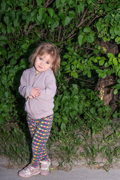 Portrait of a cute little girl crossed legs, in the evening, near bushes