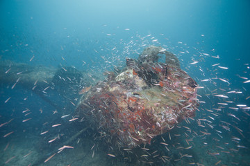 aircraft wreck solomon islands