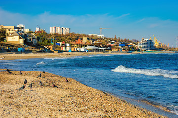 A flock of pigeons on the sand near the breaking waves. Coast of the Black Sea in Chornomorsk, Odessa province of south-western Ukraine.