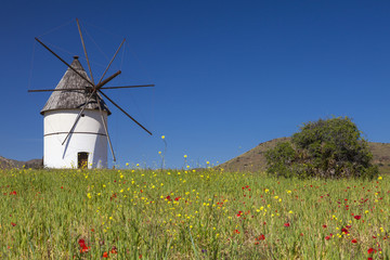 Molino de viento de Cabo de Gata