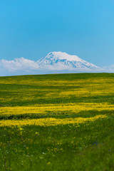 Fototapeta na wymiar Beautiful view of Mount Ararat (Masis), Armenia