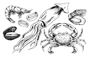 Seafood hand drawn collection