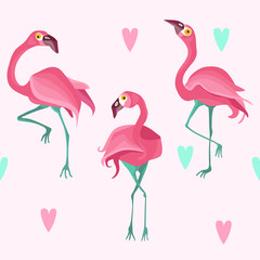 Colorful flat vector flamingo seamless pattern